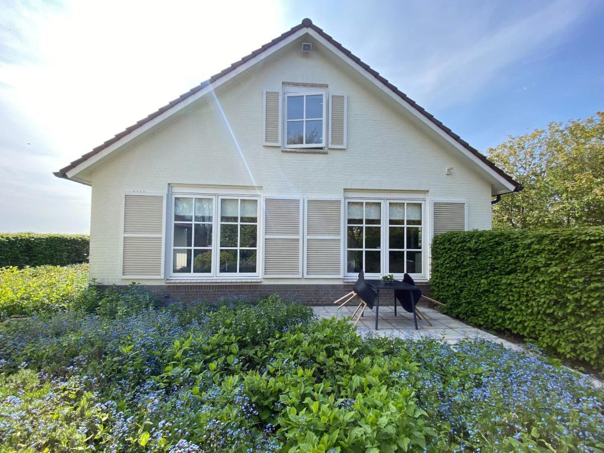 Stay-Inn Harlingen Exteriör bild